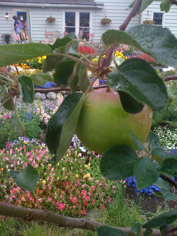 Historic Skagway Inn - thumb 3