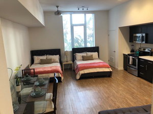 Incredible Hollywood Loft Free Parking