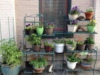 Main Street Bed  Breakfast Accommodation Los Angeles