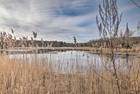 Pet-Friendly Historic Preston Home Near Casinos Accommodation Los Angeles