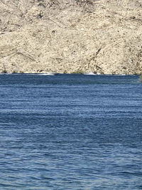 Resort Home Accommodation Los Angeles