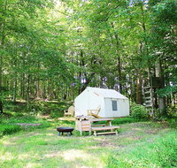 Tentrr - Birches Woodsy Glamping Retreat near Chincoteague Island - Accommodation Los Angeles