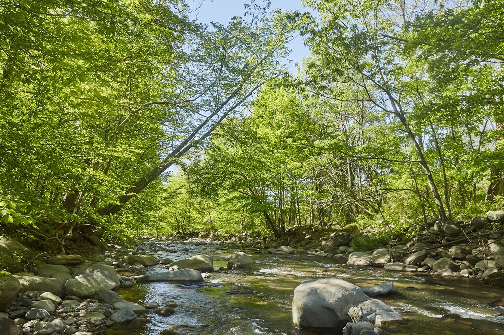 Tentrr - Shady Knolls - thumb 1