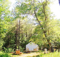 Tentrr - The Stand Woodsy Glamping Retreat Near Chincoteague Island - Accommodation Los Angeles