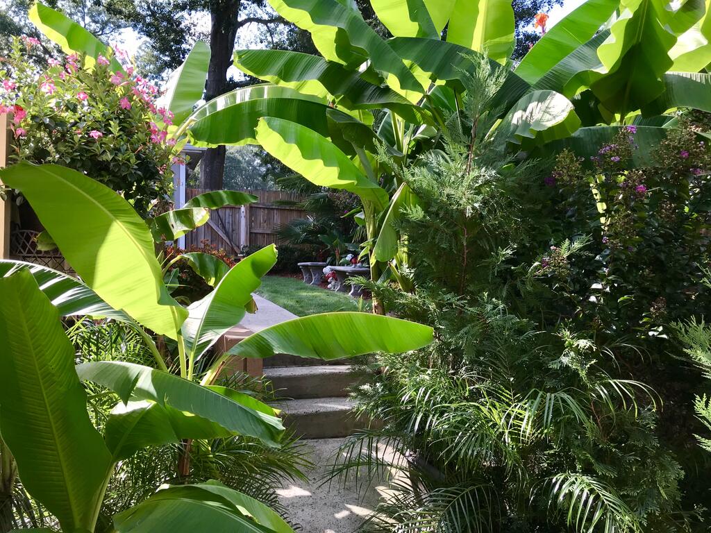 The Garden Suite - A Private Guest Retreat - thumb 1