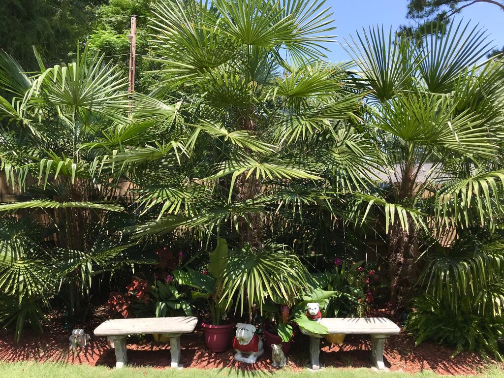 The Garden Suite - A Private Guest Retreat - thumb 3