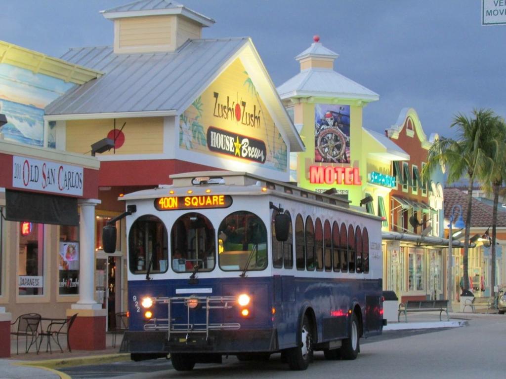 The Seahorse - thumb 2