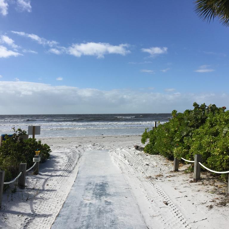 The Seahorse - thumb 3