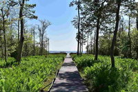 Villa R On The Bay Accommodation Los Angeles