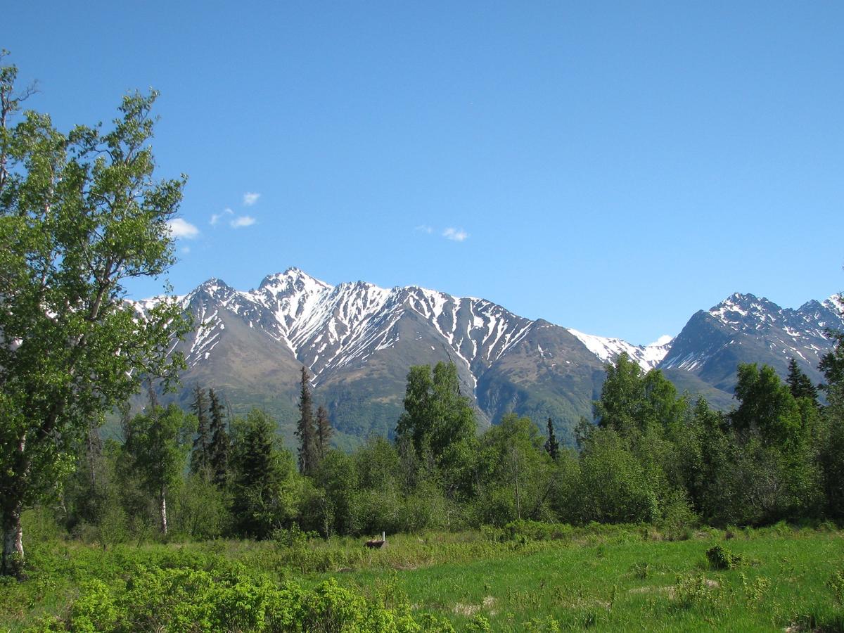 Pine Cottage At Alaska Backcountry Cottages - thumb 32