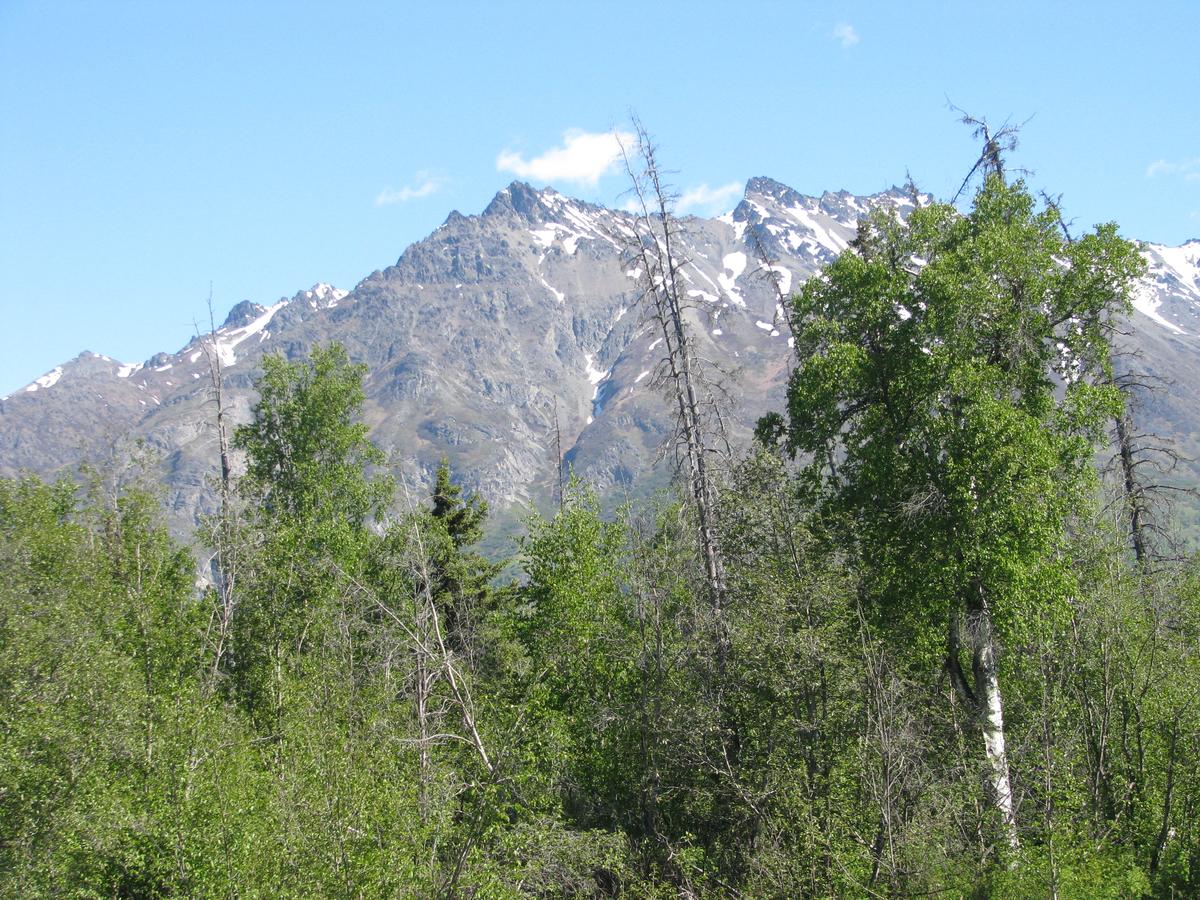 Pine Cottage At Alaska Backcountry Cottages - thumb 31