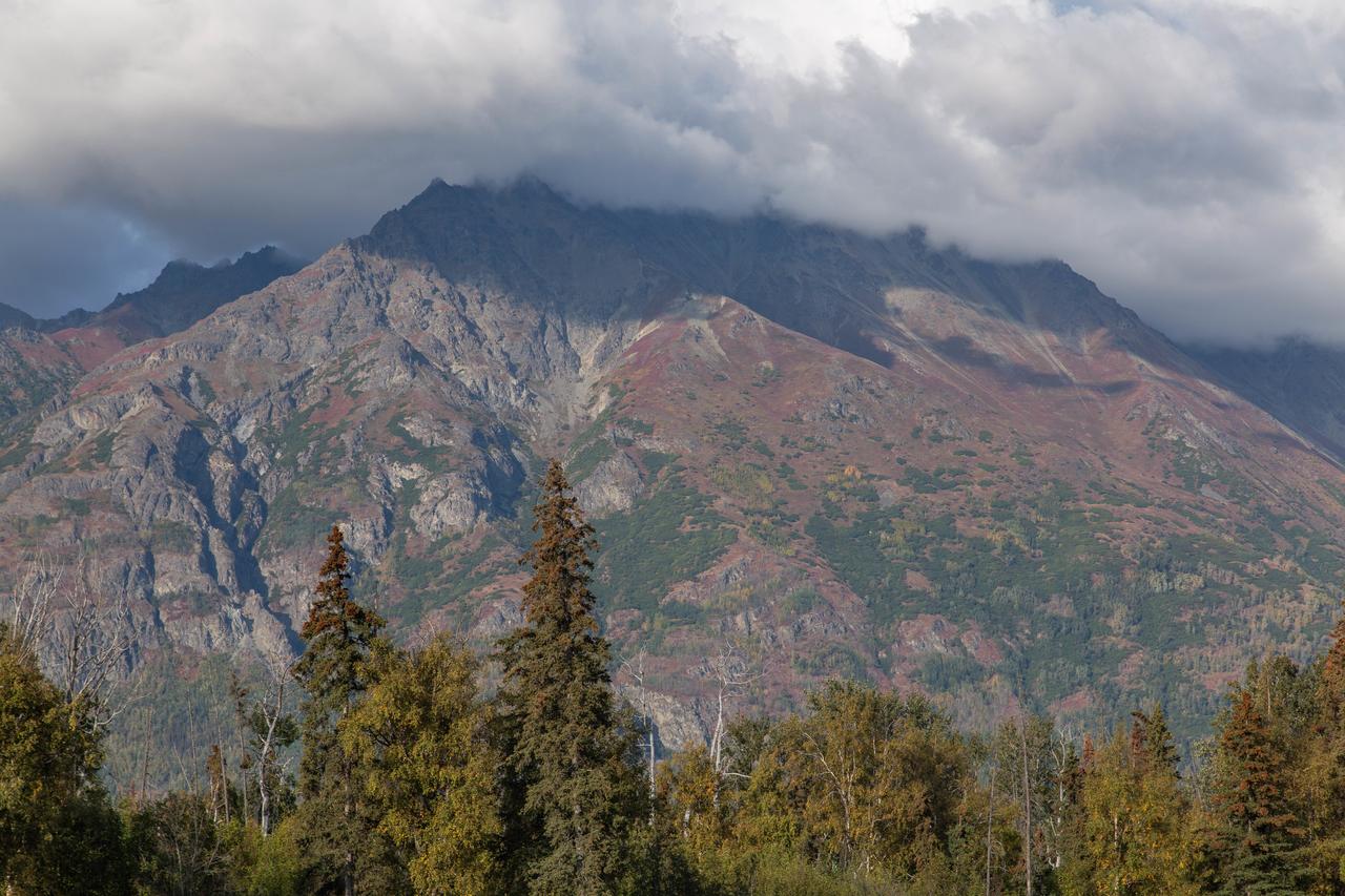 Pine Cottage At Alaska Backcountry Cottages - thumb 18