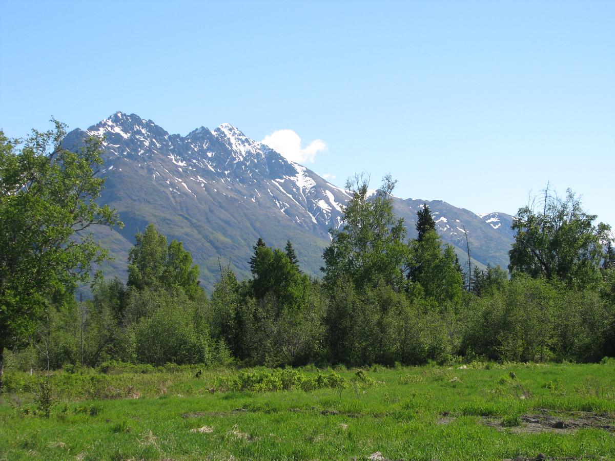 Pine Cottage At Alaska Backcountry Cottages - thumb 29