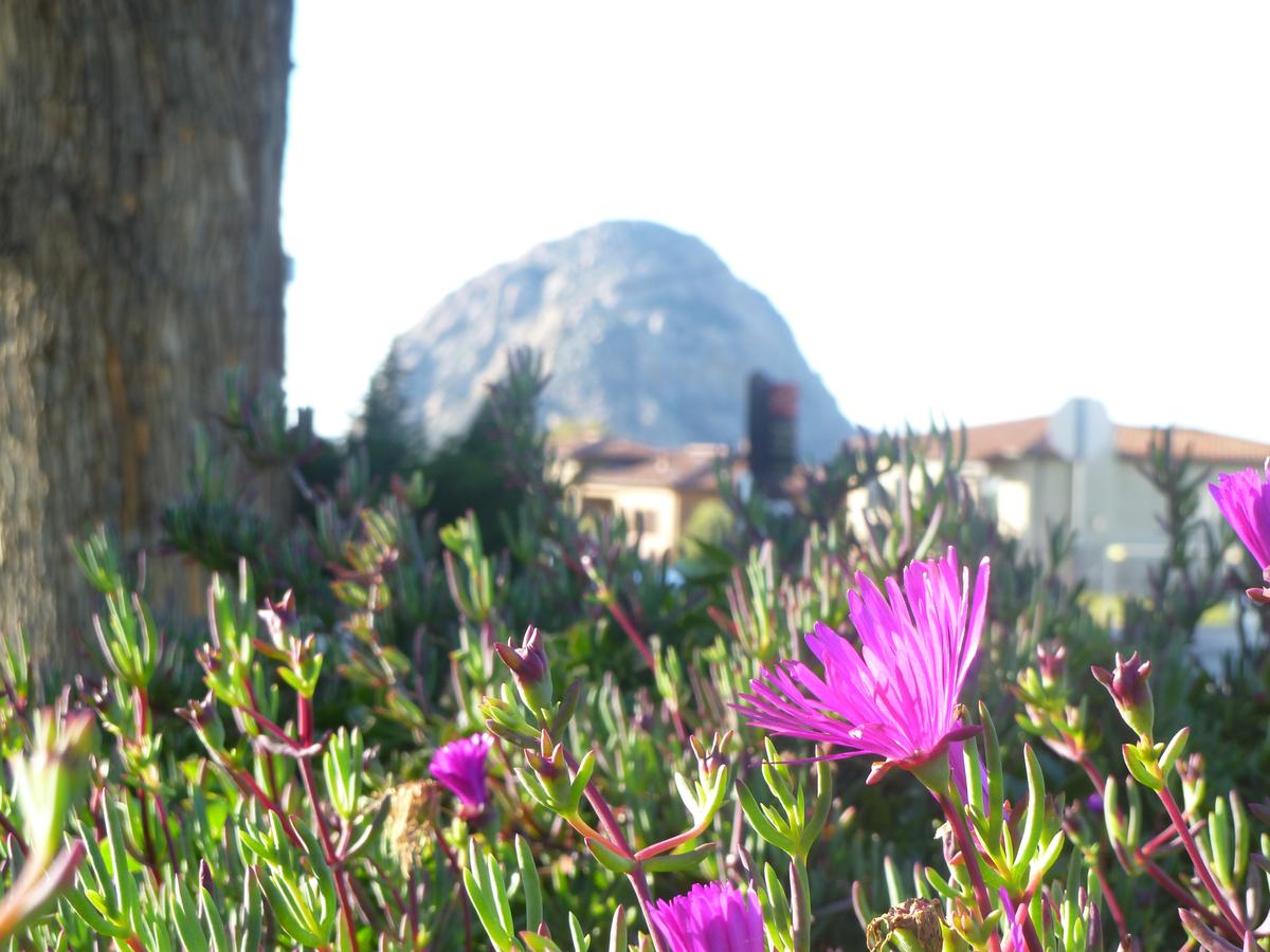 Morro Bay Sandpiper Inn - thumb 20