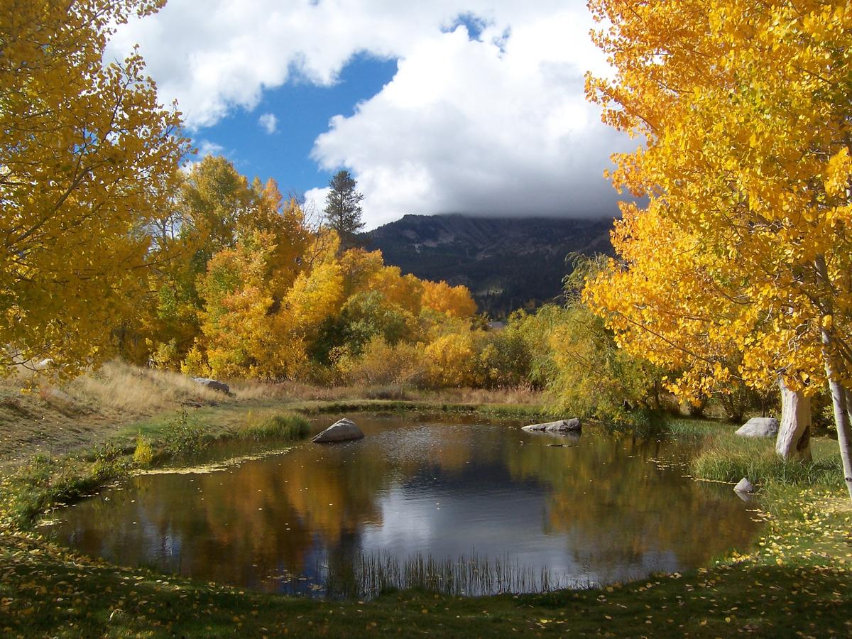 Snowcreek Resort - thumb 17