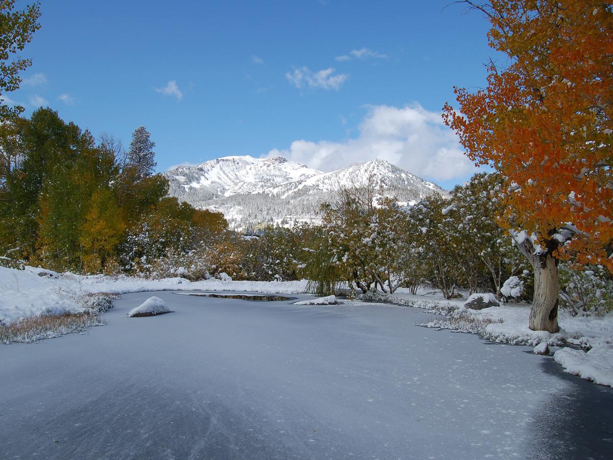 Snowcreek Resort - thumb 36