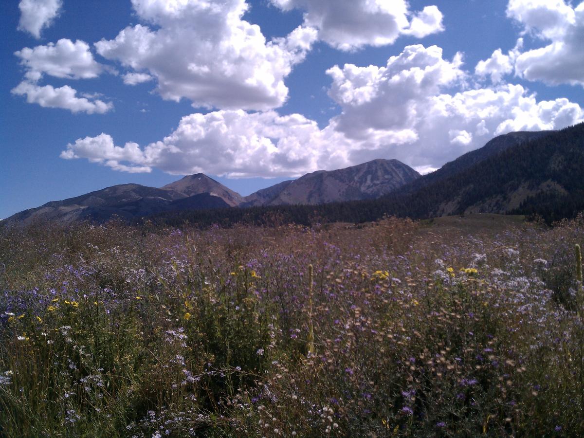 Snowcreek Resort - thumb 16