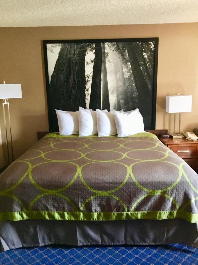 Super 8 By Wyndham Arcata - thumb 1