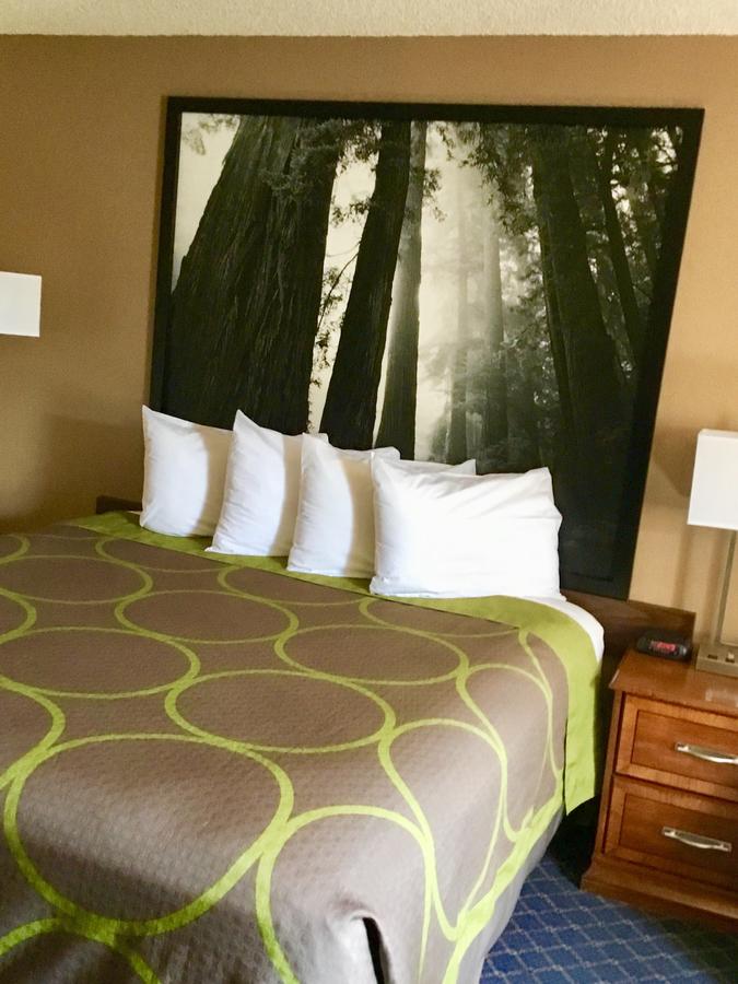 Super 8 By Wyndham Arcata - thumb 4