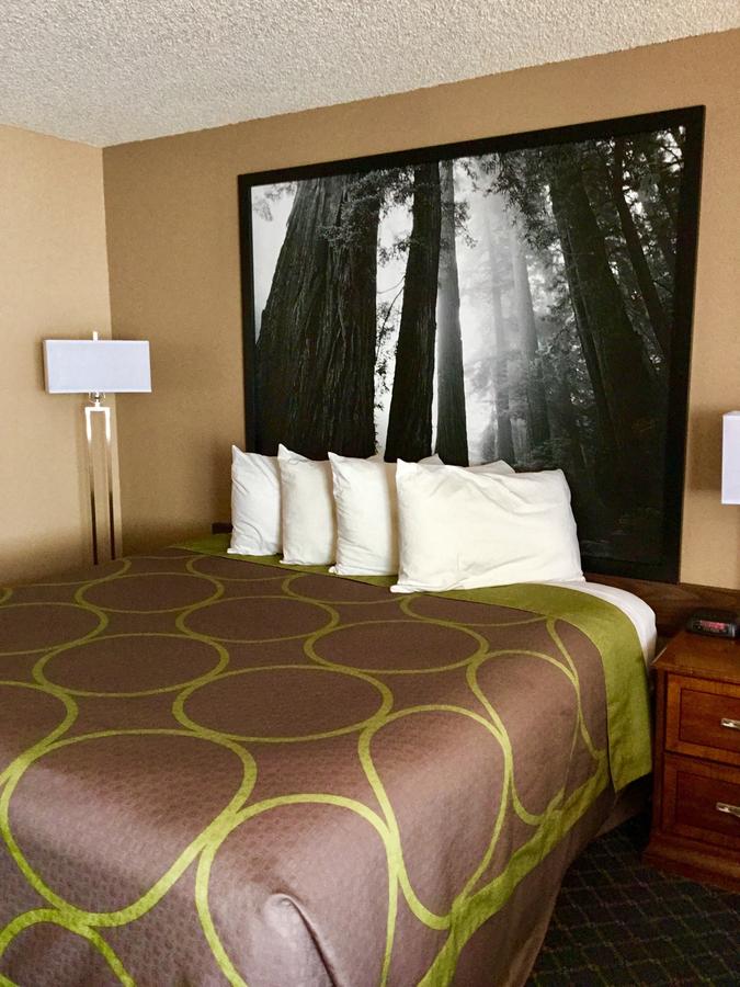 Super 8 By Wyndham Arcata - thumb 5