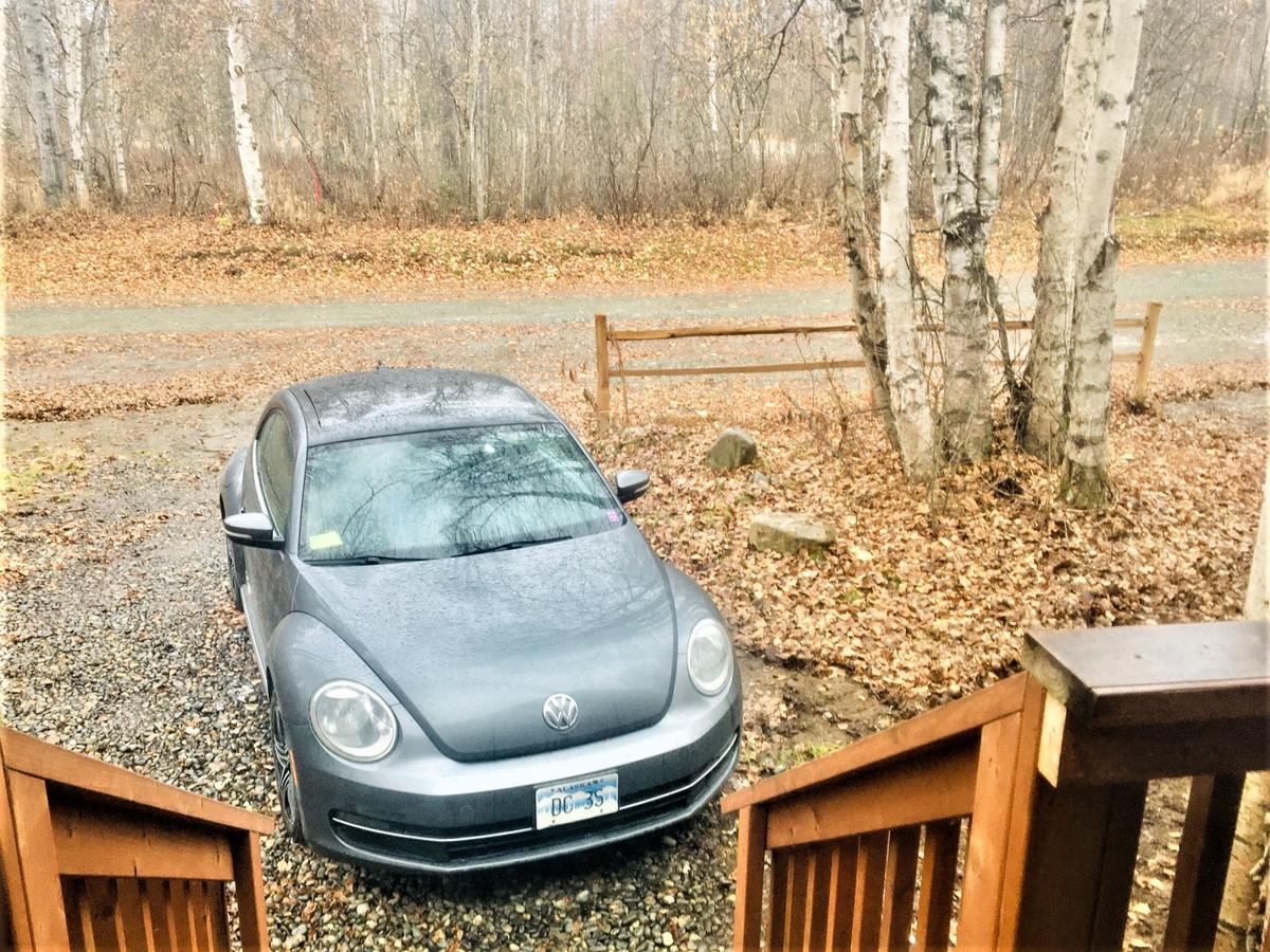 Talkeetna Trailside Cabin - thumb 6