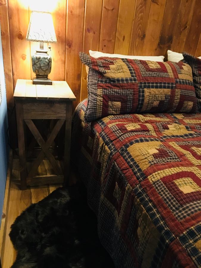 Talkeetna Trailside Cabin - thumb 3