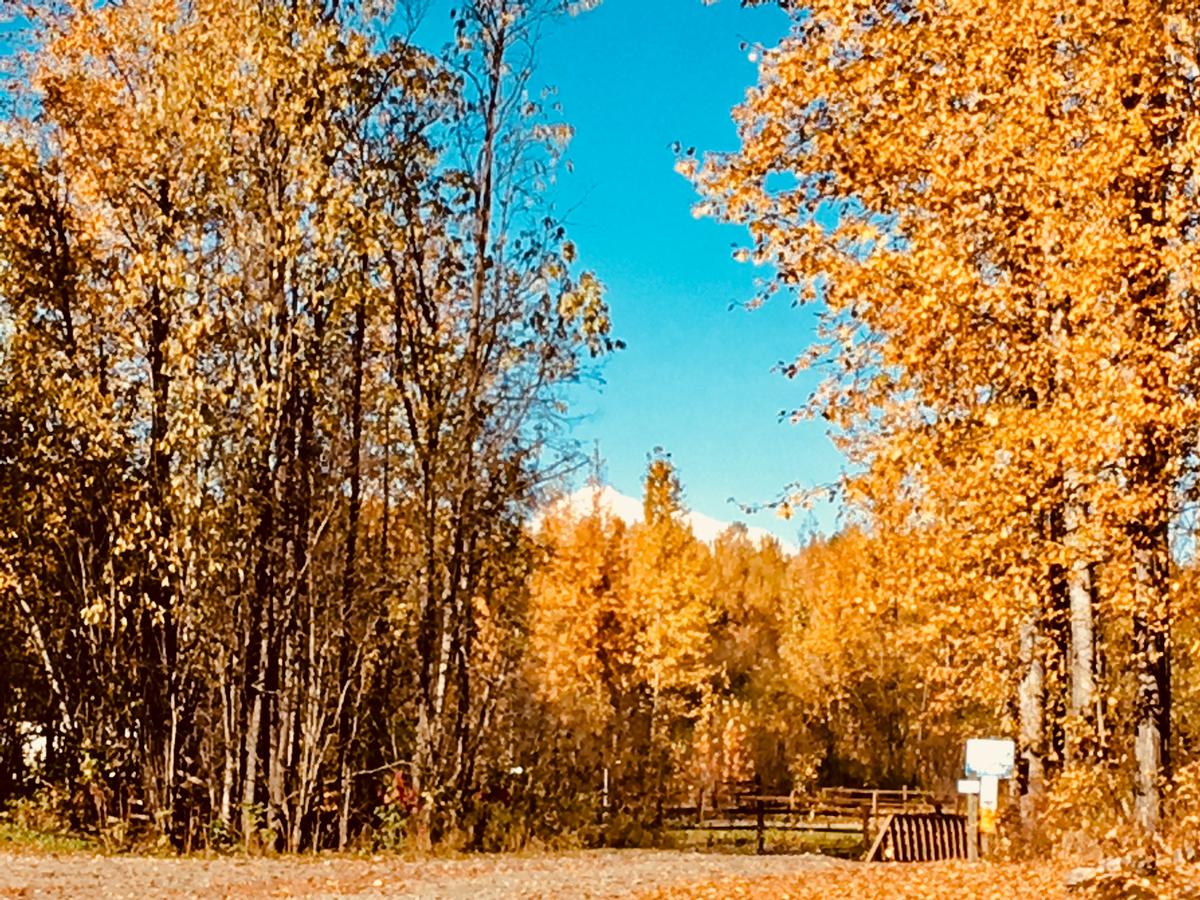Talkeetna Trailside Cabin - thumb 20