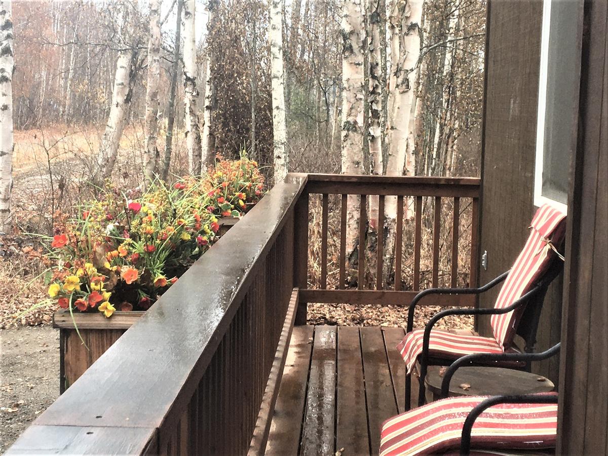 Talkeetna Trailside Cabin - thumb 8