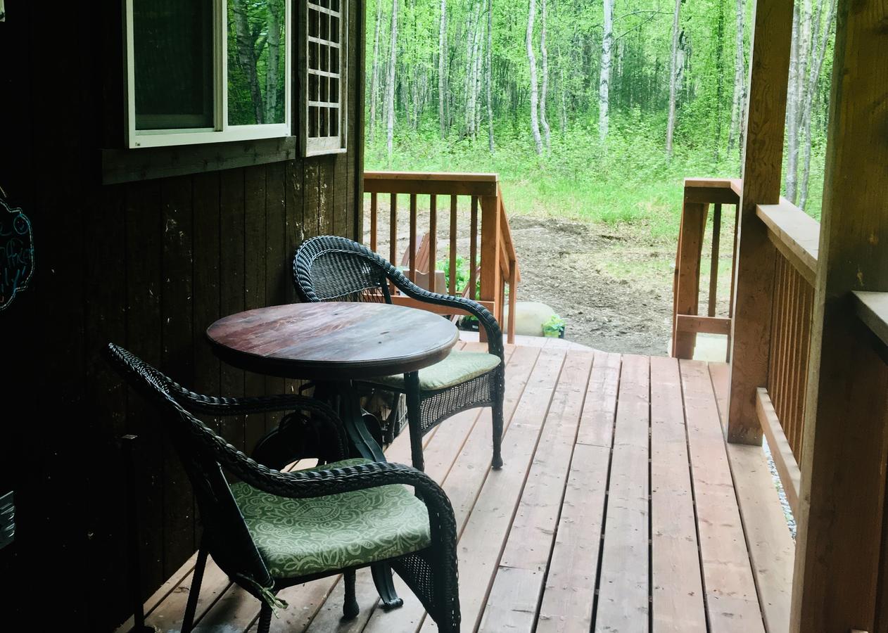 Talkeetna Trailside Cabin - thumb 11