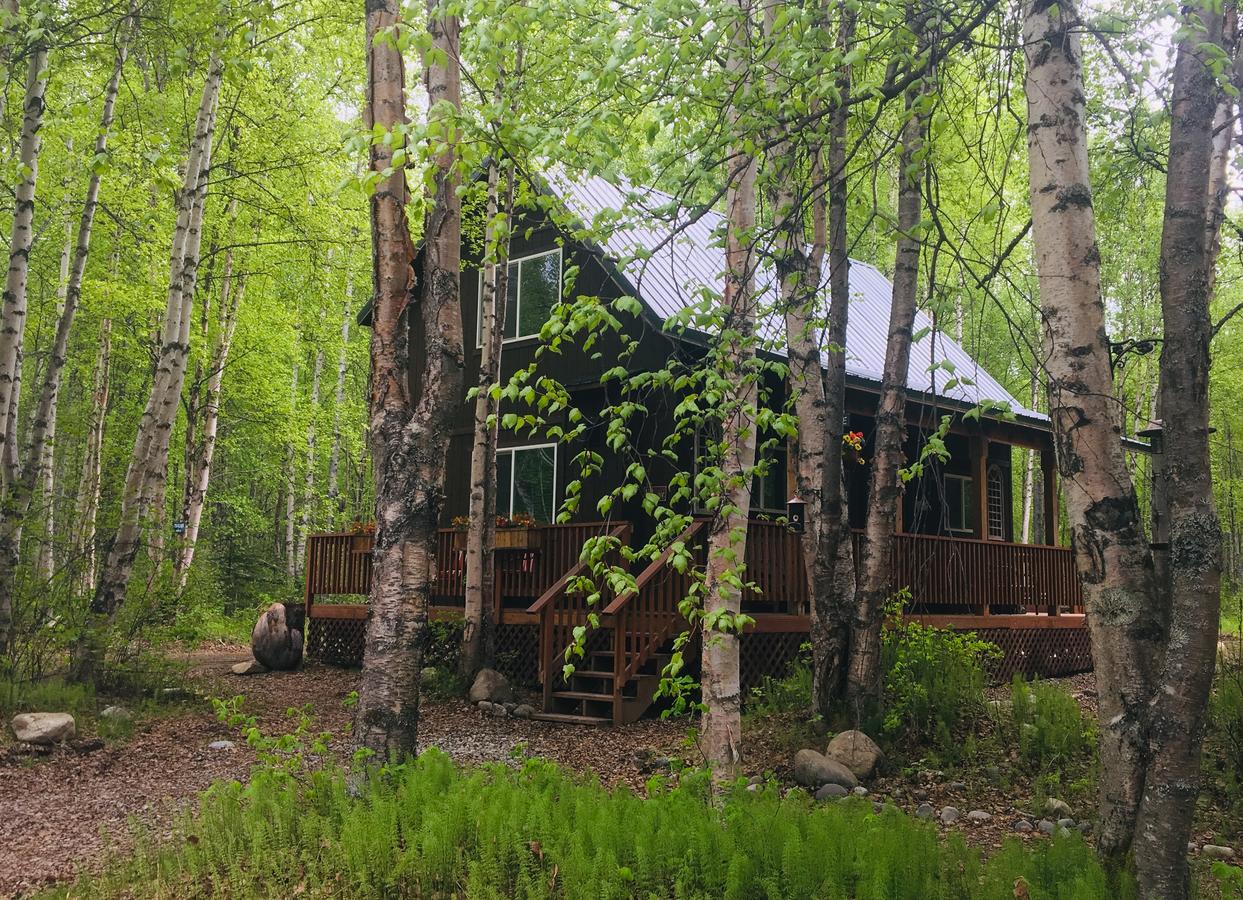 Talkeetna Trailside Cabin - thumb 17