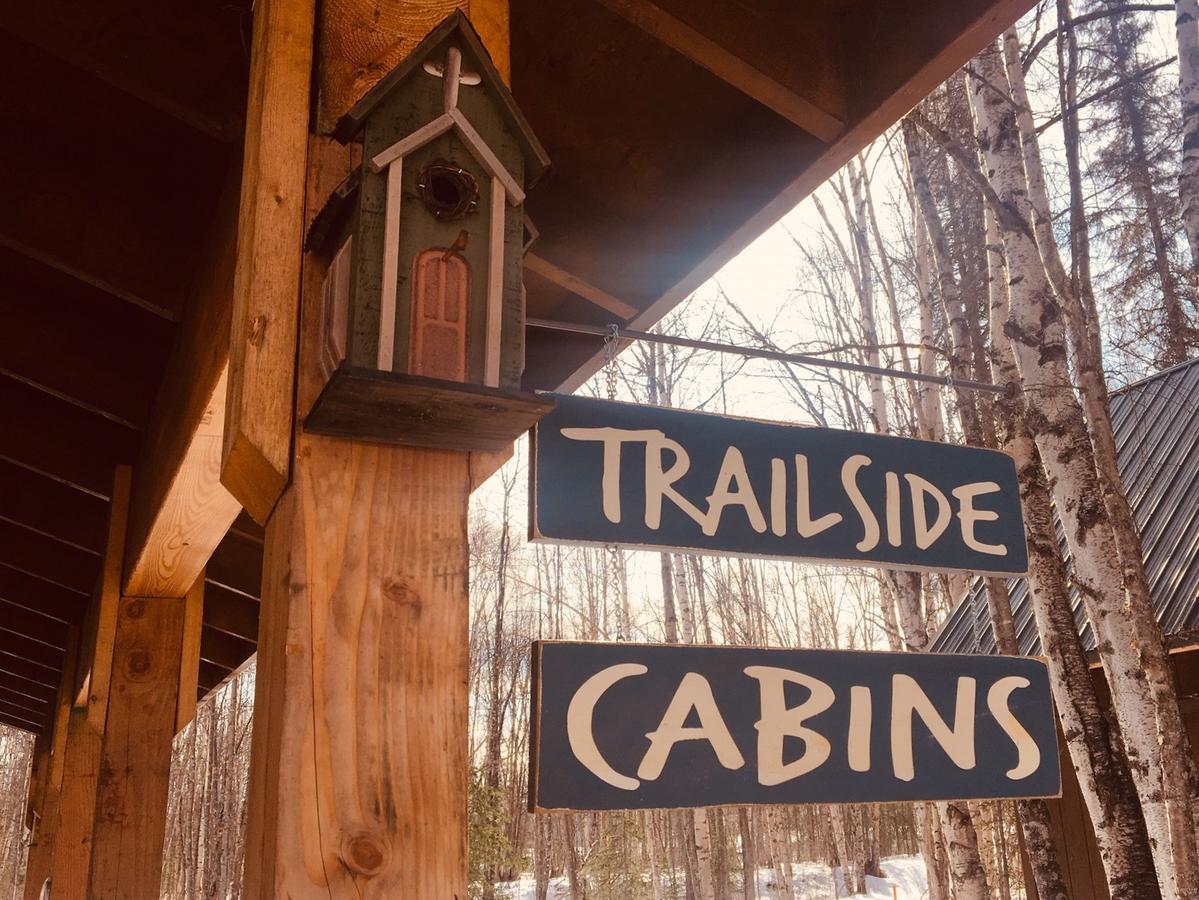 Talkeetna Trailside Cabin - thumb 19