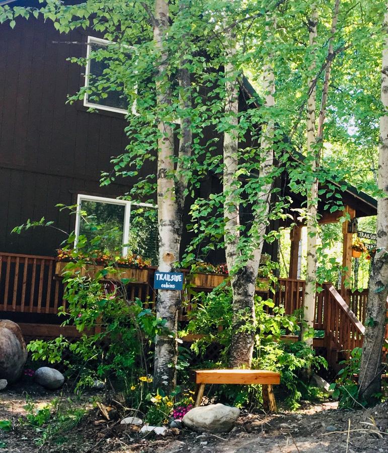 Talkeetna Trailside Cabin - thumb 0