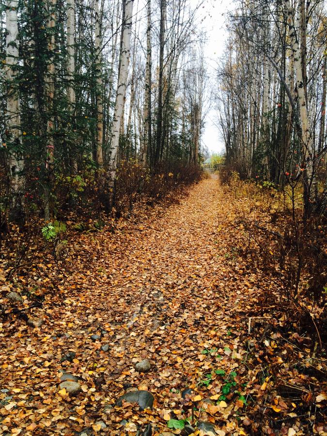 Talkeetna Trailside Cabin - thumb 21