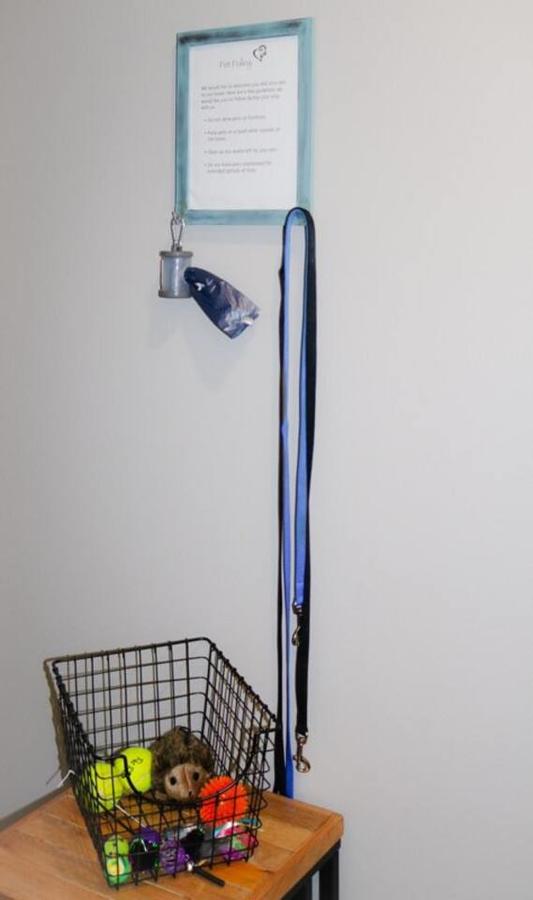 Modern Mountain Retreat, Pets Welcome! - thumb 13