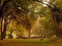 Cornville Az Accommodation Los Angeles