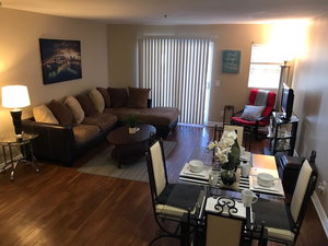 Hollywood Spring Deluxe