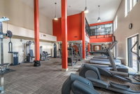 Amazing Apartments near the grove Accommodation Los Angeles