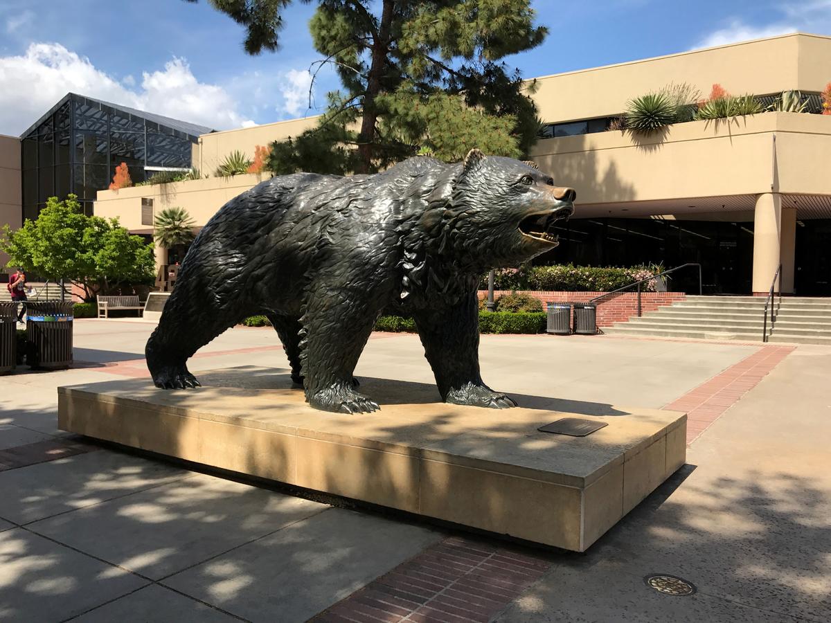 Spacious Apartment In Westwood UCLA B7 - thumb 23