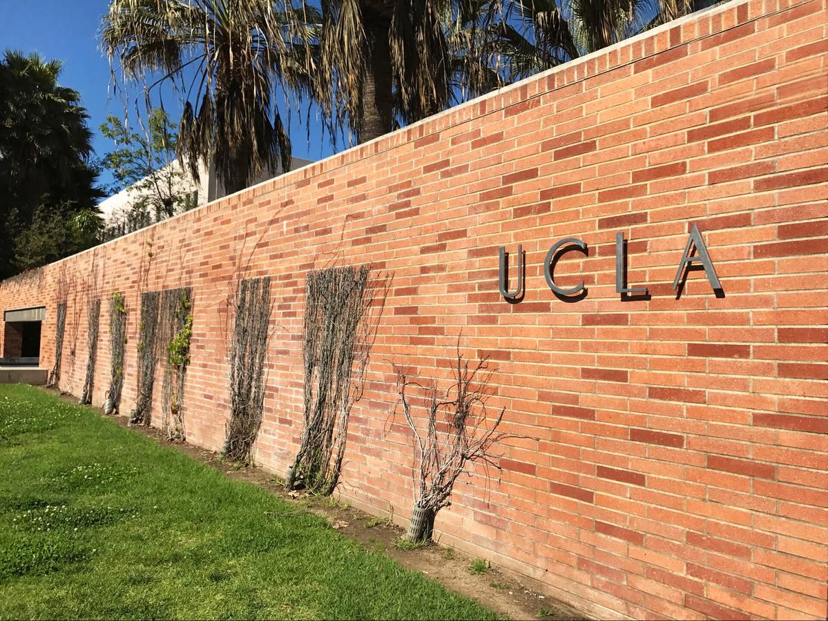 Spacious Apartment In Westwood UCLA B7 - thumb 21