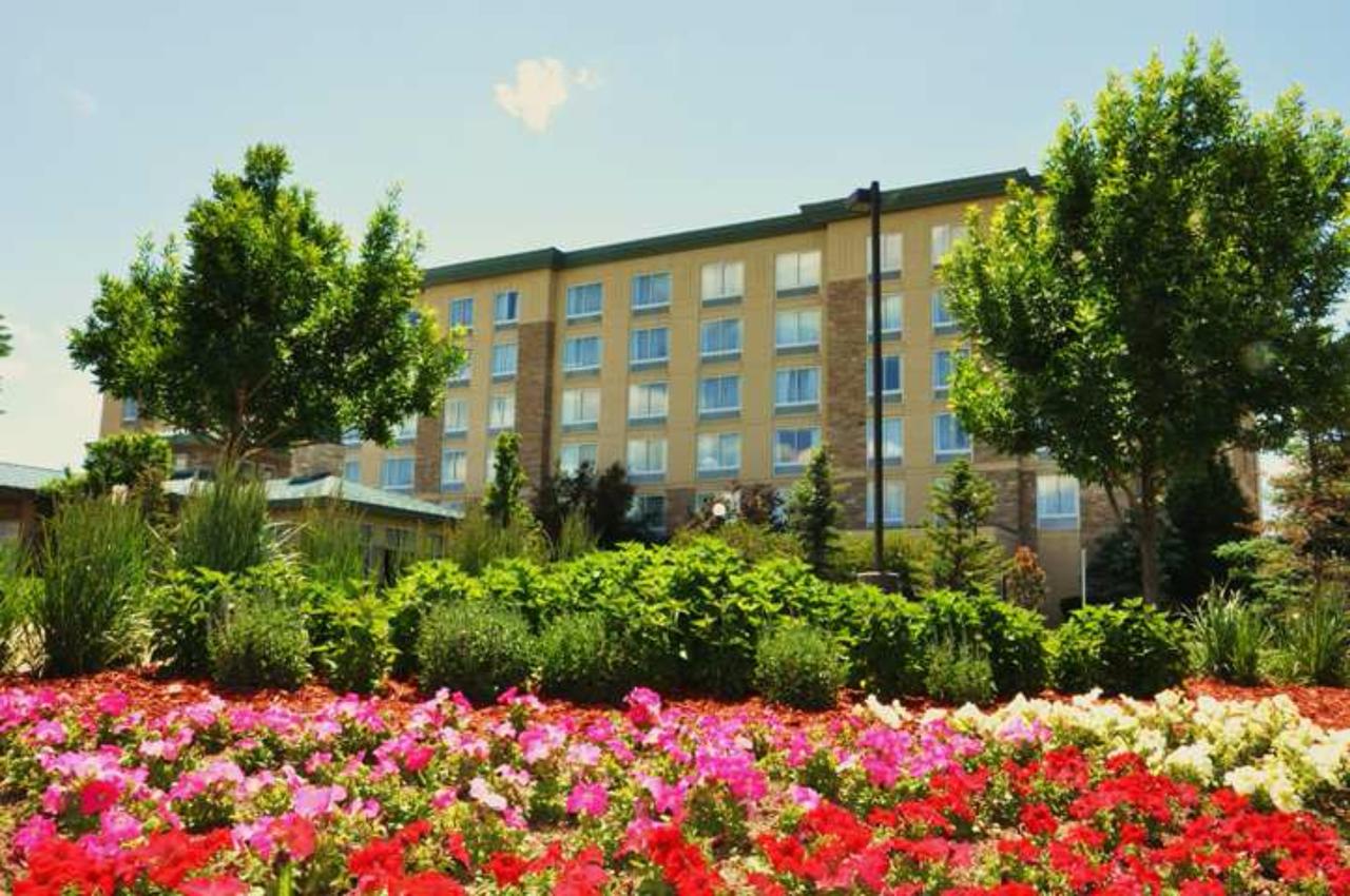 Hilton Garden Inn Denver South Park Meadows Area - thumb 24
