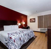 Red Roof Inn  Suites Dover Downtown - Accommodation Los Angeles