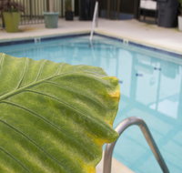 Brighton Suites Hotel - Accommodation Los Angeles