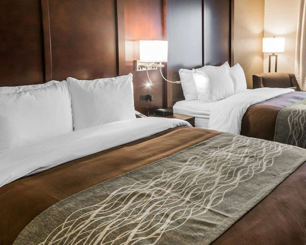 Comfort Inn & Suites, Pharr - thumb 6