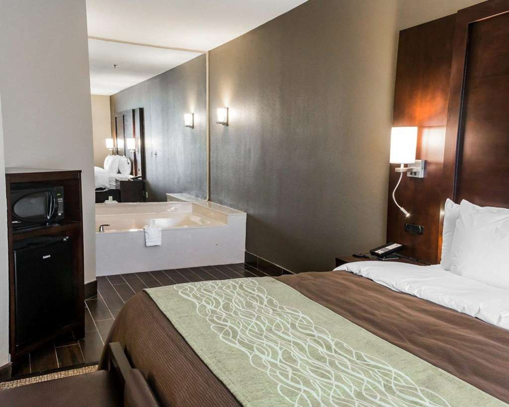 Comfort Inn & Suites, Pharr - thumb 7