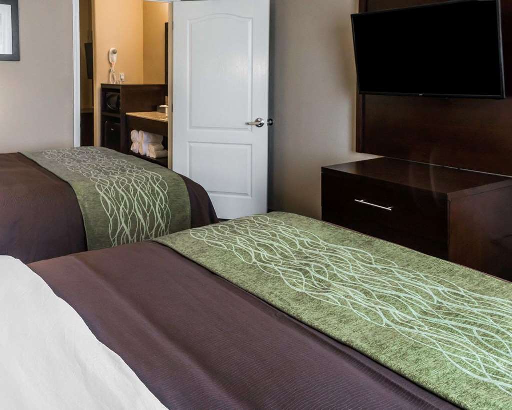 Comfort Inn & Suites, Pharr - thumb 13