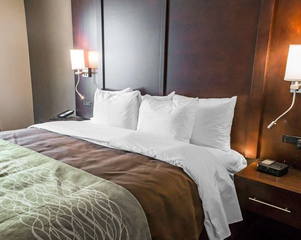 Comfort Inn & Suites, Pharr - thumb 14