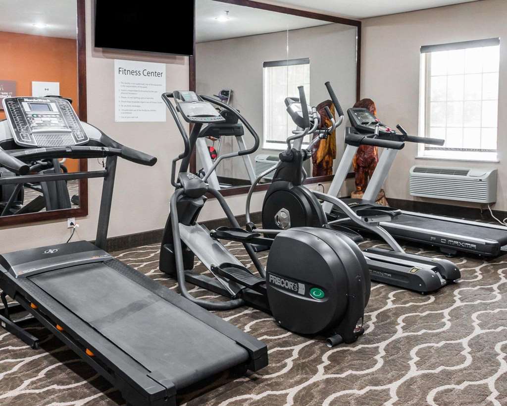 Comfort Inn & Suites, Pharr - thumb 16