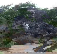 Create Your Own Dallas and Fort Worth Combination Tour - Accommodation Los Angeles