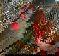 Fort Lauderdale Frenzy Scavenger Hunt - Accommodation Los Angeles