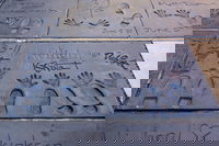 Hollywood Celebrity Homes Tour